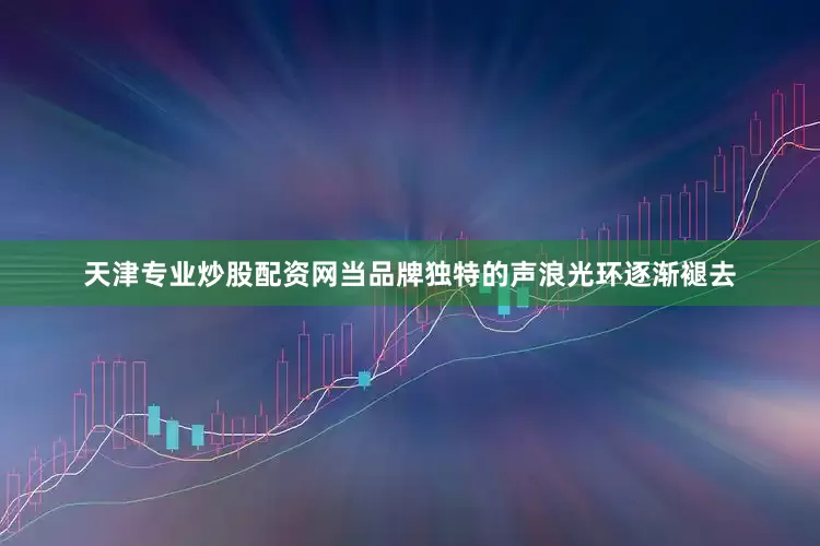 天津专业炒股配资网当品牌独特的声浪光环逐渐褪去